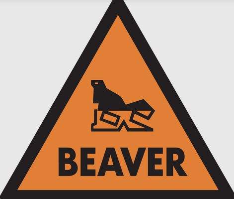 Beaver Construction Limited